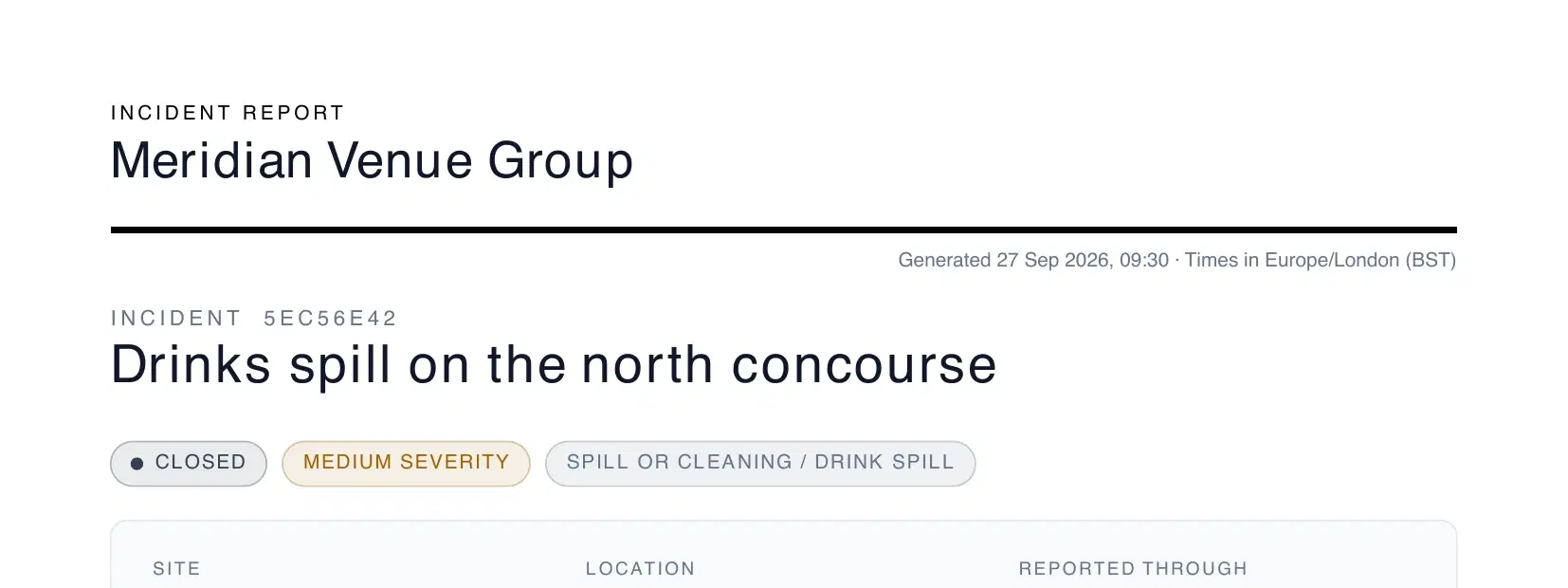 A plain report header with a black rule and no logo.