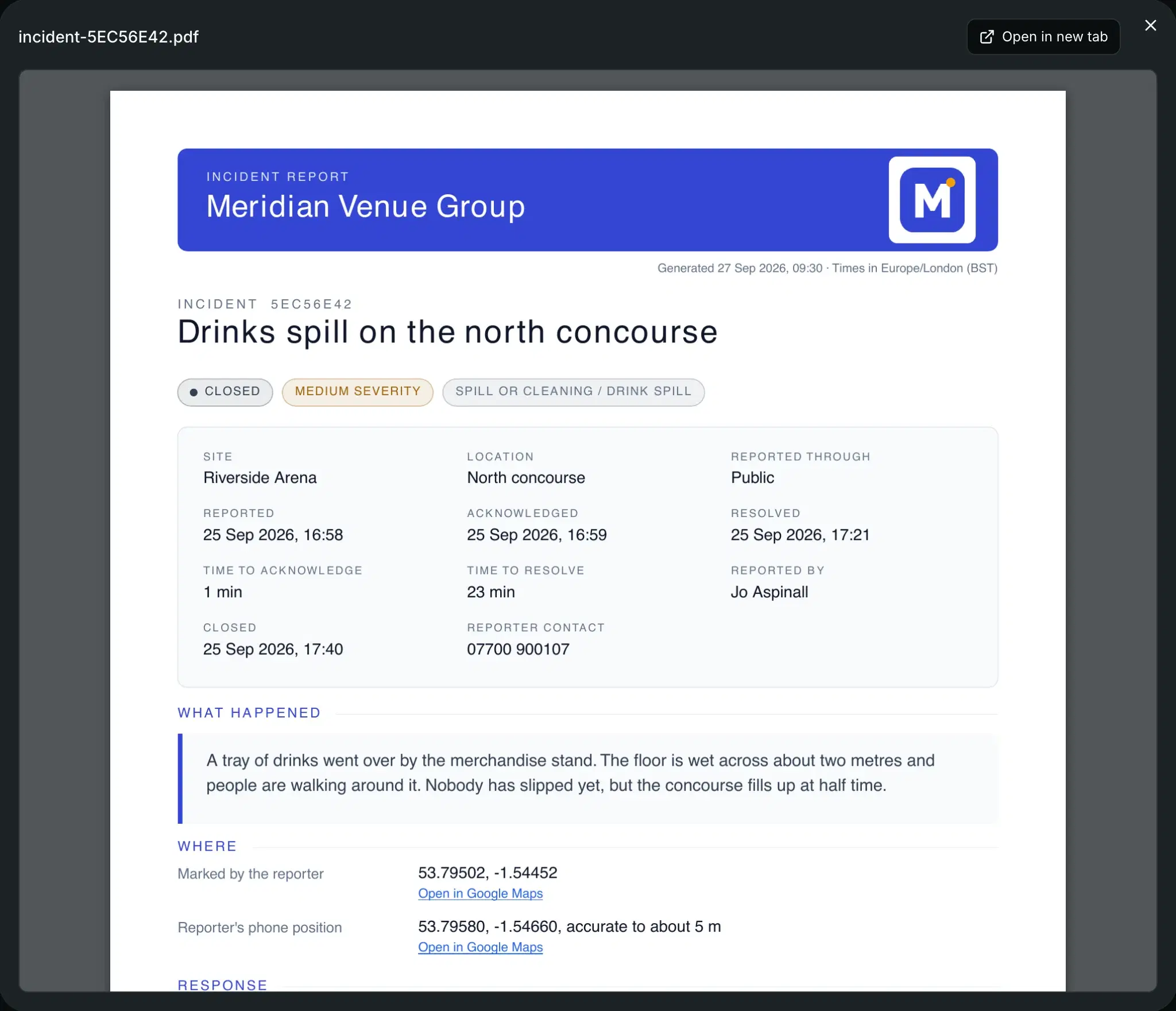 A finished report open in the preview, showing its first page.