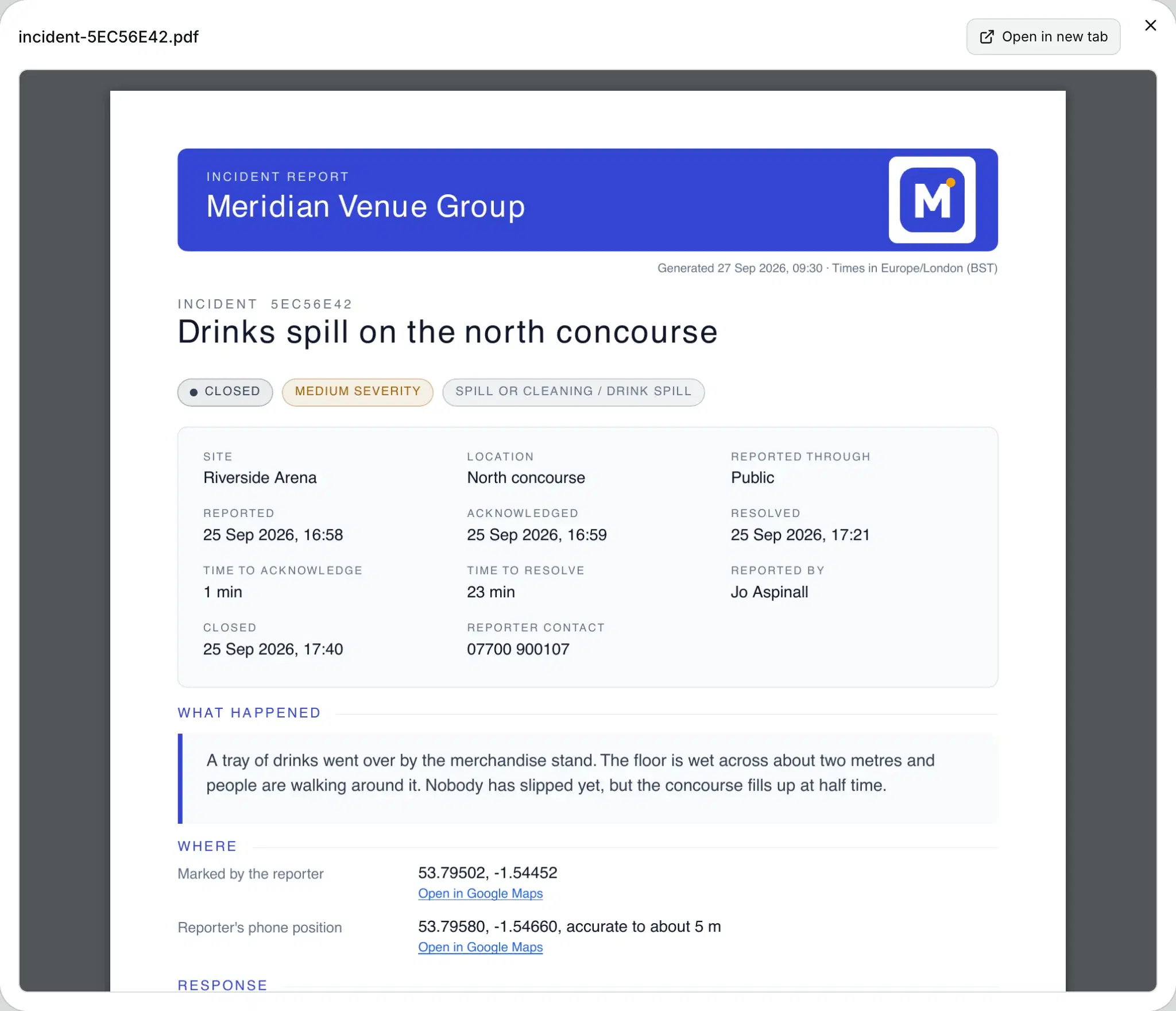 A finished report open in the preview, showing its first page.